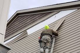 Best Siding Replacement  in USA